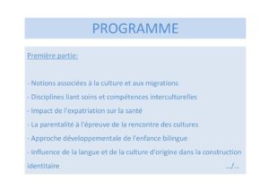 Lundi 6 juillet 2015, le Dr Scola proposait une formation à l'occasion de la Journée Clinique de l'intersecteur de pédopsychiatrie (04).