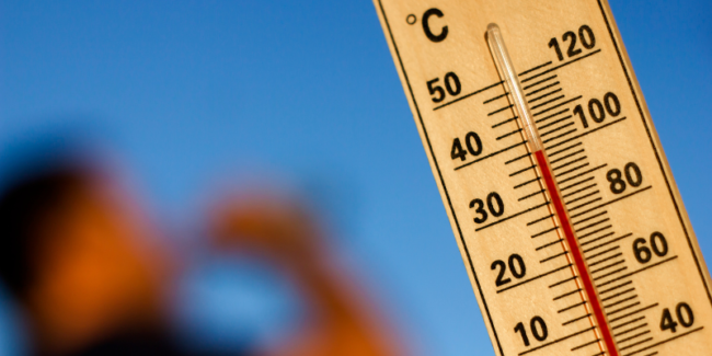 Heatwave illus site (800 × 400 px)
